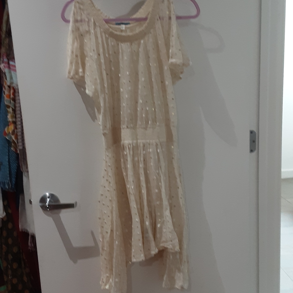 Anthropologie leifnotes mesh dress